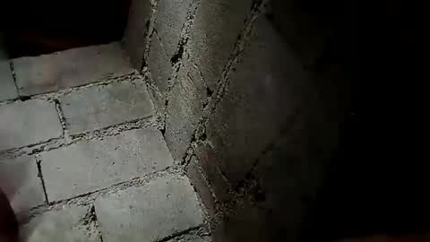 Snapshot of prettyneca5991 chatting on December 2024 11:57:02 PM prettyneca5991 online show from December 2024 11:57:02 PM