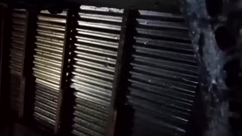 Snapshot of prettyneca5991 chatting on January 2026 05:28:02 PM prettyneca5991 online show from January 2026 05:28:02 PM