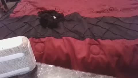 Snapshot of prettyp7729206 chatting on November 2025 09:27:02 PM prettyp7729206 online show from November 2025 09:27:02 PM