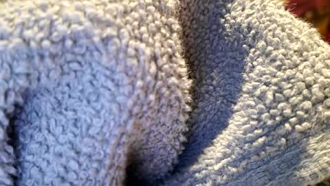 PrettyPrick4U online show from January 2025 01:42:02 PM