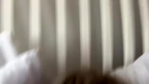 Prettiestpussy online show from September 2025 08:36:02 PM