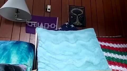 Snapshot of prettysolidd7 chatting on December 2024 02:59:01 PM prettysolidd7 online show from December 2024 02:59:01 PM