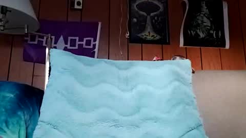 Snapshot of prettysolidd7 chatting on December 2024 01:22:01 PM prettysolidd7 online show from December 2024 01:22:01 PM