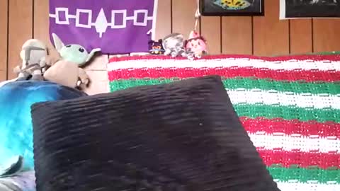 Snapshot of prettysolidd7 chatting on January 2025 02:35:02 PM prettysolidd7 online show from January 2025 02:35:02 PM