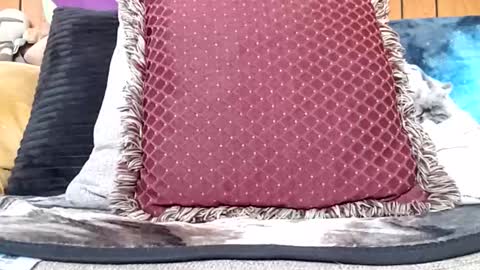 Snapshot of prettysolidd7 chatting on January 2025 02:14:01 PM prettysolidd7 online show from January 2025 02:14:01 PM