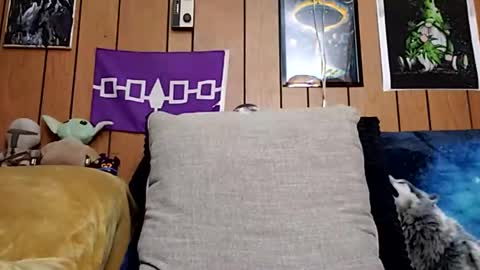 Snapshot of prettysolidd7 chatting on January 2025 10:06:01 AM prettysolidd7 online show from January 2025 10:06:01 AM