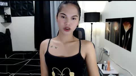 Snapshot of princess_018 chatting on November 2025 04:13:02 AM Shane online show from November 2025 04:13:02 AM