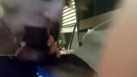 princessbrii537133 online show from October 2025 03:40:01 AM