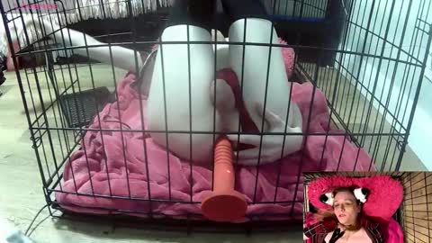 Snapshot of princessjuliaxo4 chatting on February 2026 02:10:02 AM PrIncessJulia0X online show from February 2026 02:10:02 AM