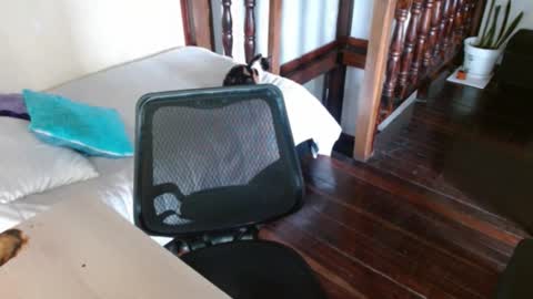 Snapshot of prismm_ chatting on September 2025 01:21:01 PM prismm_ online show from September 2025 01:21:01 PM