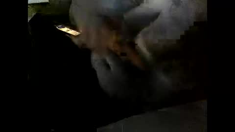 Snapshot of problm666 chatting on December 2025 06:03:02 PM Clothingoptional online show from December 2025 06:03:02 PM