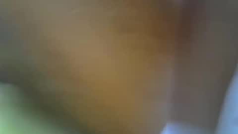 Princess online show from November 2025 11:16:02 AM