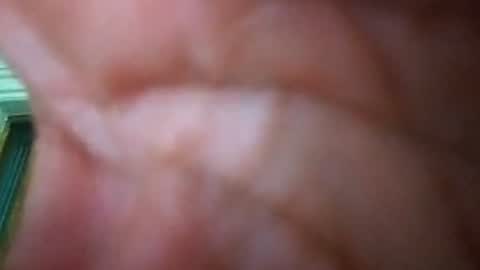 professor7676 online show from June 2026 12:04:01 AM