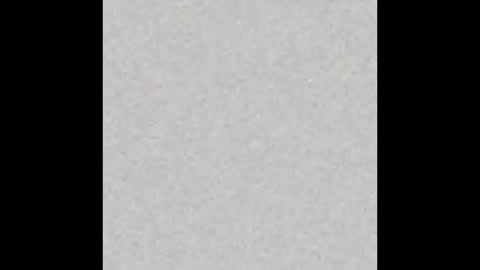 prostatepete online show from February 2026 11:36:02 PM