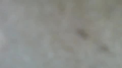 Snapshot of psachno chatting on November 2025 12:37:02 PM psachno online show from November 2025 12:37:02 PM
