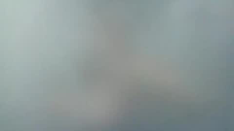   PALA  online show from December 2024 04:02:02 AM