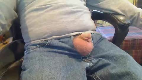 Snapshot of pulltoy1 chatting on February 2026 04:49:02 PM pulltoy1 online show from February 2026 04:49:02 PM