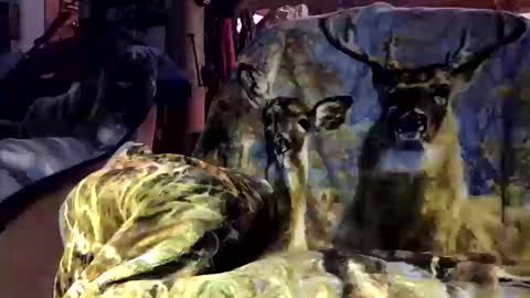 pumpslurrys online show from October 2025 11:26:02 PM