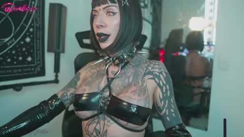 punkyfoxx online show from August 2026 09:35:02 PM