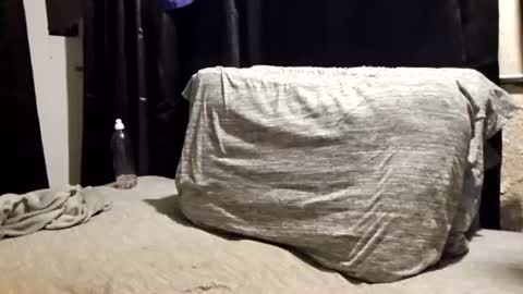 pupdoom9522 online show from June 2026 08:49:02 AM