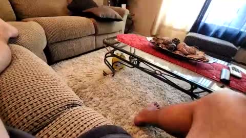 purdyguy7777 online show from March 2026 07:40:01 PM