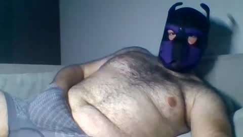 Snapshot of purple_pup_bear chatting on August 2026 09:39:02 PM purple_pup_bear online show from August 2026 09:39:02 PM