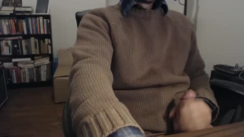 Purple Mountains online show from December 2024 02:49:02 PM