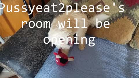 Rick online show from February 2025 10:29:01 AM