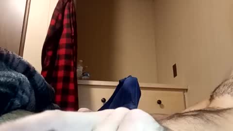 Pussyluver520 online show from July 2026 12:31:02 PM