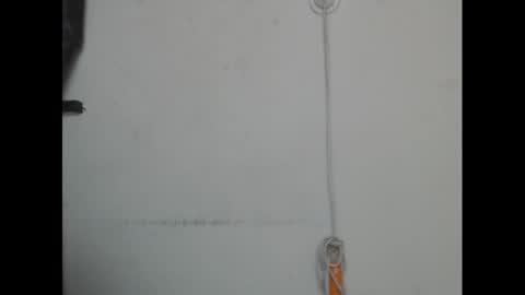 Snapshot of pussyxcockx chatting on March 2025 01:29:02 PM pussyxcockx online show from March 2025 01:29:02 PM