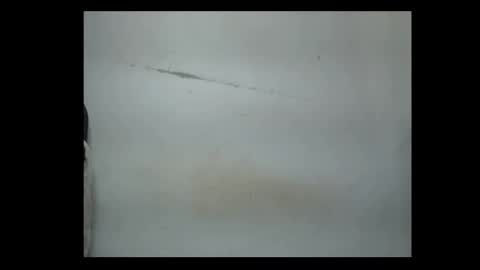 pussyxwetx online show from February 2026 08:14:02 PM