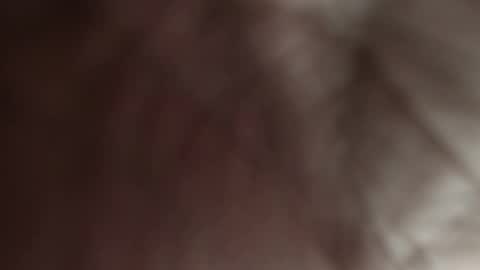 Pau Manchita online show from December 2025 10:57:02 AM