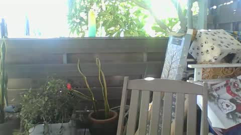 Snapshot of python974 chatting on February 2025 04:05:01 AM Python online show from February 2025 04:05:01 AM