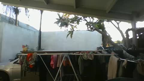 Snapshot of python974 chatting on October 2025 02:42:01 AM Python online show from October 2025 02:42:01 AM