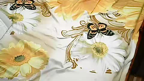 queen_ava05 online show from July 2026 07:20:02 PM