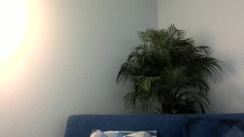 Jim online show from December 2024 06:50:01 PM