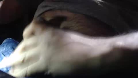 Snapshot of quickienerd chatting on December 2024 11:28:02 PM oilypanda online show from December 2024 11:28:02 PM