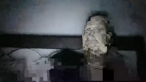 Snapshot of qwezxcqweasdzxc chatting on October 2025 02:44:01 AM qwezxcqweasdzxc online show from October 2025 02:44:01 AM