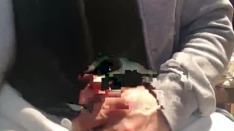 Raccoon68 online show from April 2026 12:16:02 PM