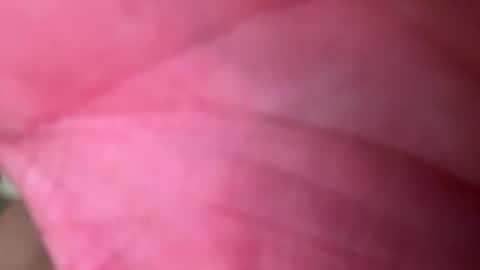 Snapshot of ragerd420 chatting on February 2026 11:14:02 PM ragerd420 online show from February 2026 11:14:02 PM