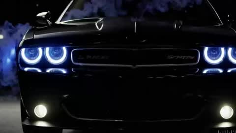 rah_8151 online show from December 2024 11:59:01 PM