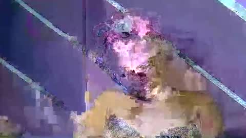 rainbow baby26 online show from March 2026 10:29:02 PM