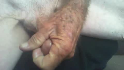 rattcatt online show from September 2025 11:14:01 AM