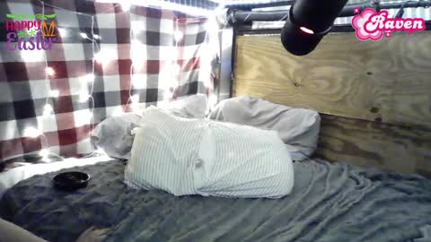 Raven online show from April 2026 04:46:01 AM