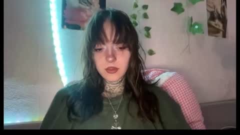 raven_armor online show from July 2026 06:04:01 PM