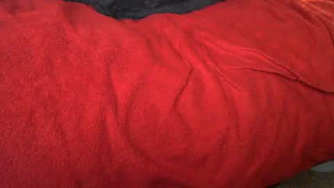 Snapshot of raymondo1964 chatting on November 2025 11:47:01 PM raymondo1964 online show from November 2025 11:47:01 PM