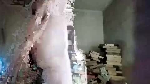 rdcervetto81 online show from February 2026 08:08:02 AM