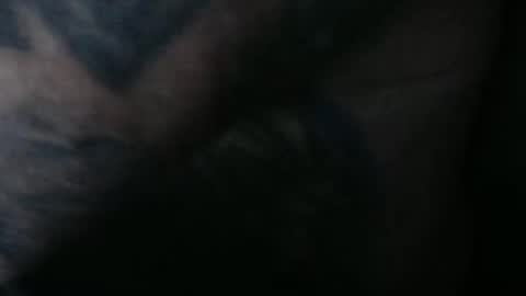 realrubpirate online show from September 2025 09:44:01 AM