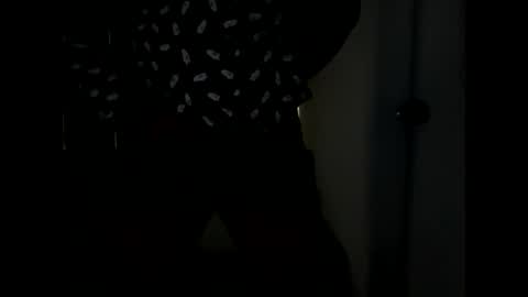 Snapshot of record_no_no chatting on January 2025 04:01:02 PM DMCA online show from January 2025 04:01:02 PM