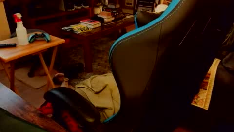 red_sea_bear online show from April 2026 04:23:02 AM